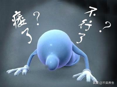 枸杞配什么治早射，硬不起怎么治疗吃什么药（食养妙方——阳痿、早泄）