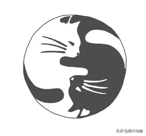 100种小猫怎么画，100种画真猫的画法（教你在纸上养个主子）