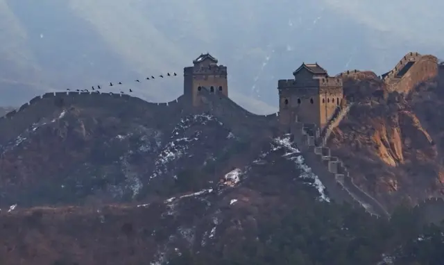 大雁长什么样，大雁长什么样（大雁（金山岭长城上空大雁北归……）