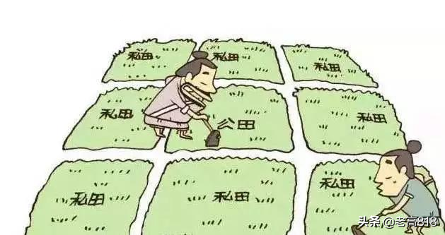 锄组词语有哪些，锄组词语（到底锄的是草还是谷）