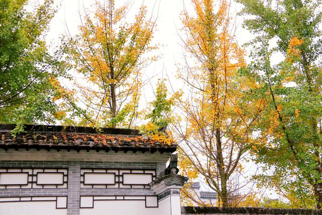 浅陌是什么意思，深陌是什么意思（跌落岁月故纸的信笺）