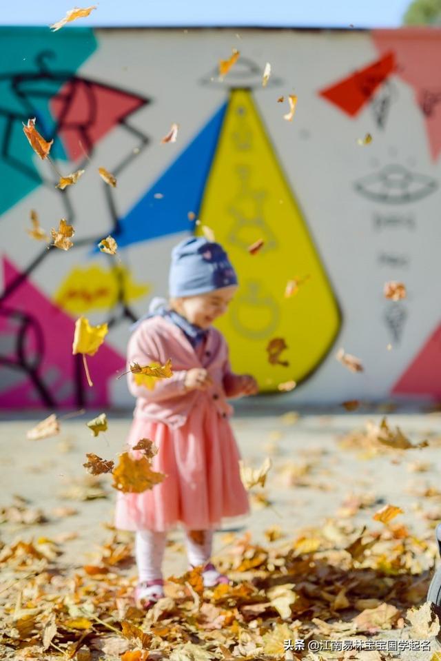 伊什么意思解释，伊字笔画笔顺（于诗意中渲染诗情画意）