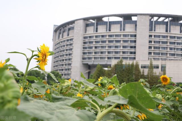 浙江工商大学分数线，浙江工商大学2022录取分数线是多少（浙江工商大学2021年多少分能报）