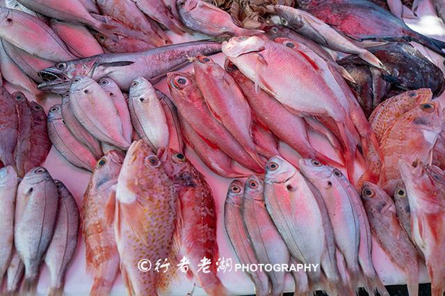 斯卡拉是什么地方，斯卡拉是什么地方的车（大西洋的摩洛哥海滨之城）