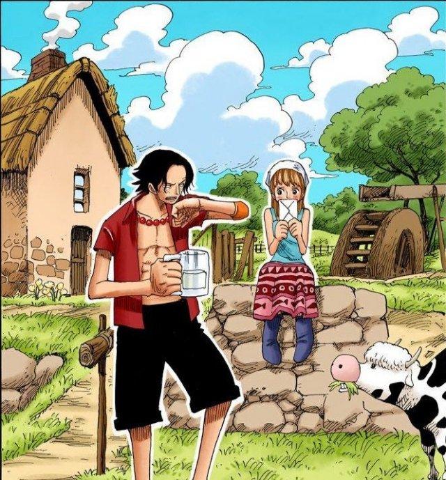 大和海贼王是谁,海贼王漫画大和到底是谁(是御田死忠粉,和之国第二