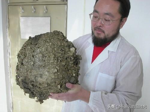 太岁在什么方位，2013年太岁在什么方位（来看看全国所发现的部份“太岁”长得啥样）