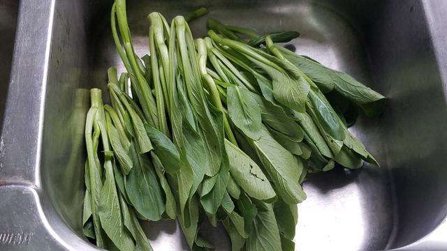 菜心豆腐家常做法，卷心菜豆腐的做法大全（我家最爱这个菜心做法）