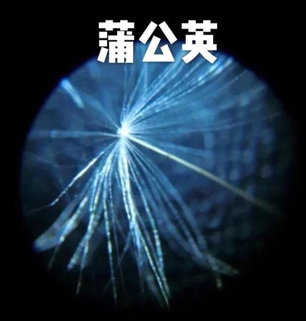 儿童科学探索显微镜，启发孩子科学探索思维