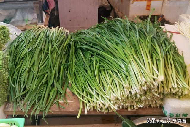 小葱和大葱的区别，小葱和大葱的区别有哪些（国内葱属蔬菜大全，你认识几个）