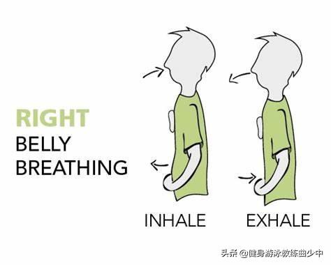肺泡表面张力在呼吸过程中的变化，游泳运动呼吸全面解析