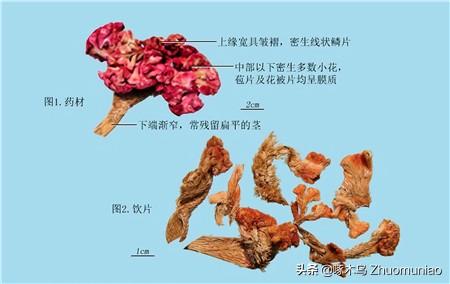 福祸相依什么意思，祸福相依什么意思（福祸相依）