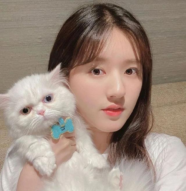 情头滴滴，微信头像，情头滴滴（你要找的头像都在这）