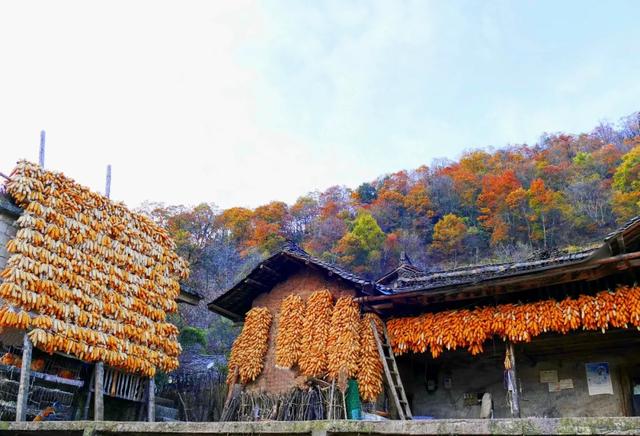 甘洛县美食，甘洛县美食美客食品店在哪儿（私藏彩林、金黄梯田、高山海子…）