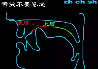 平翘舌不分怎么办，普通话平翘舌音不分怎么办（如何训练平翘舌读音）
