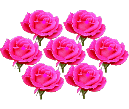 七月七日是情人节吗，每个月十四号都是什么情人节（今天是7月7日情人节）