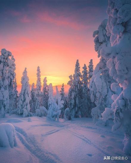 关于圣诞节的短信，关于圣诞节的祝福语（适合圣诞节发的短句）