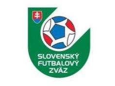 历届欧洲杯冠军得主，历届欧洲杯冠军得主是哪几支球队（欧洲杯历届冠军汇总）