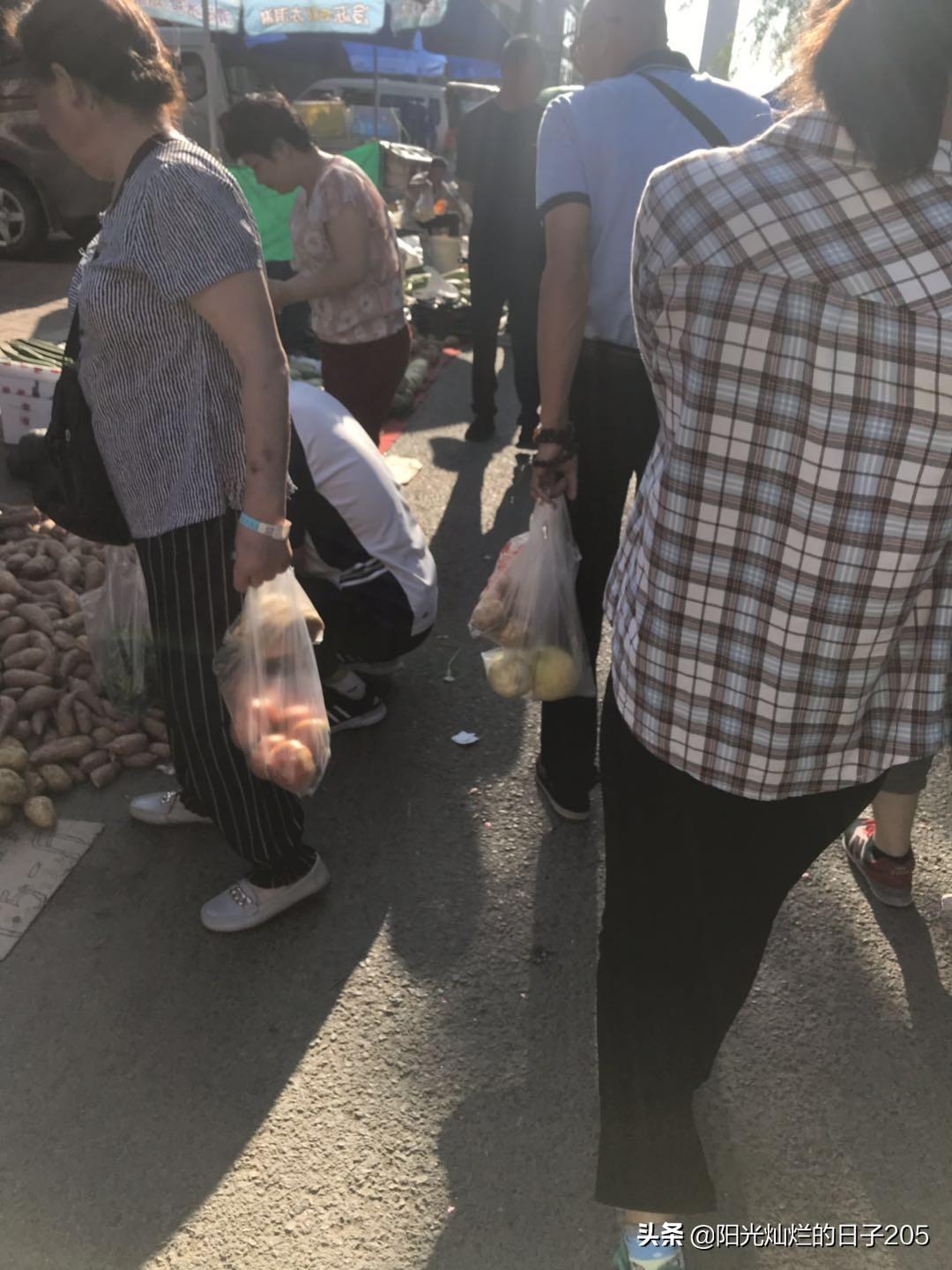 上北阳光灿烂的日子，阳光灿烂的日子里全集播放（屯粮积草开始了）