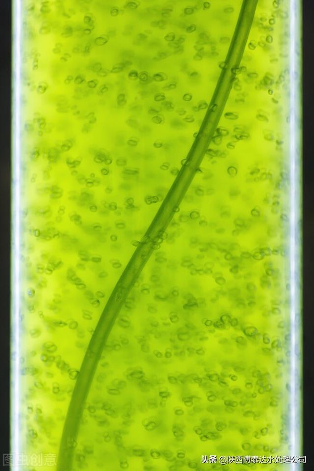 水污染的危害有哪些，水污染的危害有哪些英语作文（水污染的后果）