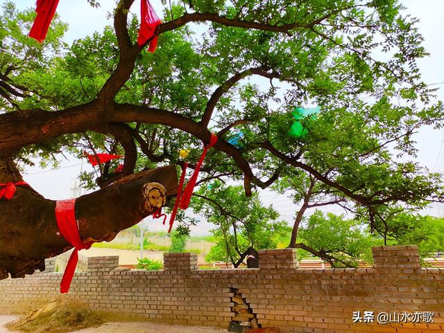 秦皇古道在哪呢，秦皇古道的简介（一座因唐僧晾经而得名的山岭）