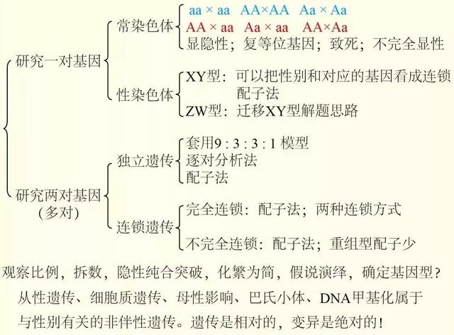 怎么把一张图片分成9张，美图秀秀如何把一张图片分为九张（高考生物必考点）