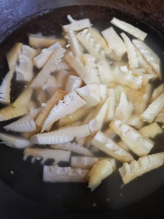 竹笋的做法，竹笋的做法大全家常做法视频（竹笋的家常做法）