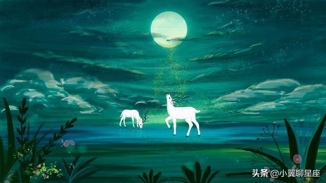 容易爱上陌生人的星座，陌生的人是什么星座（越相处越喜欢的星座）