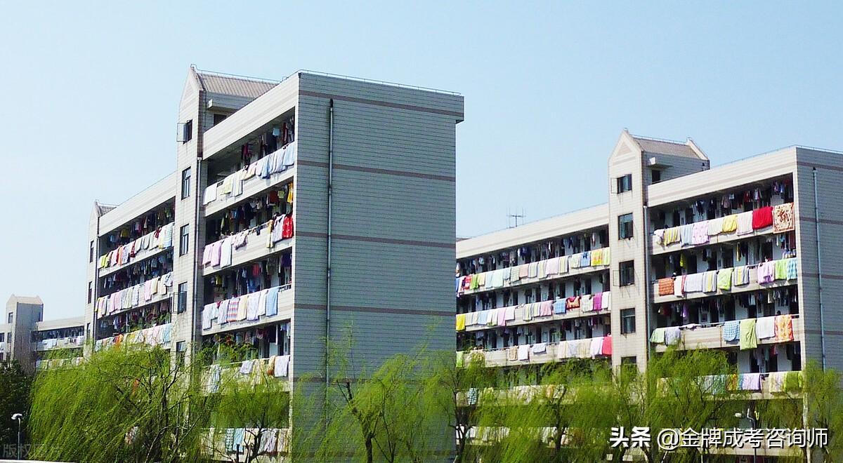 w学校全集（解读）