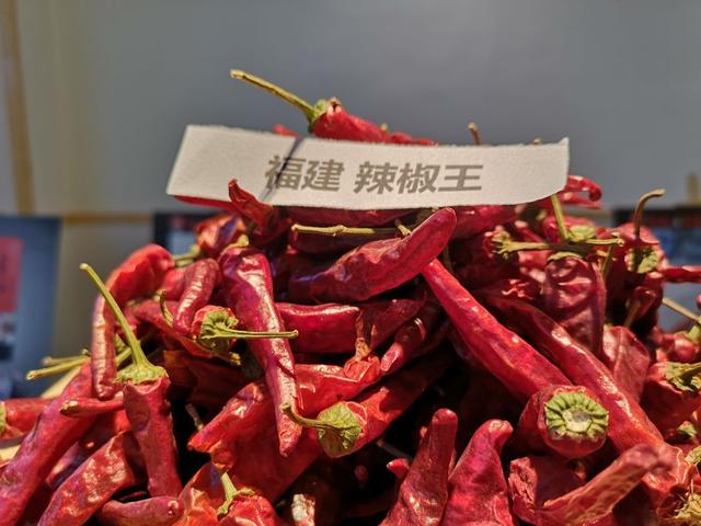 又细又长的干辣椒有哪些，品种繁多适用性广。今天给大家一起分享干辣椒品种