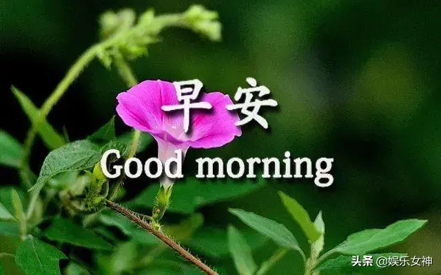 沧海桑田下一句是什么，沧海桑田是什么意思（自然安稳；随缘自在）