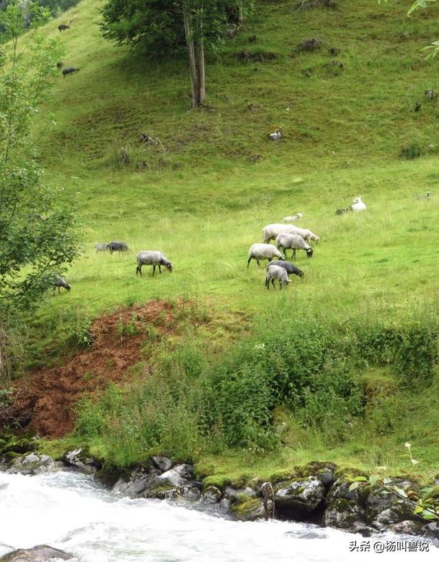 挪威旅游攻略，挪威旅游攻略图（<二>—壮美“万岛之国”挪威旅行游记及攻略）
