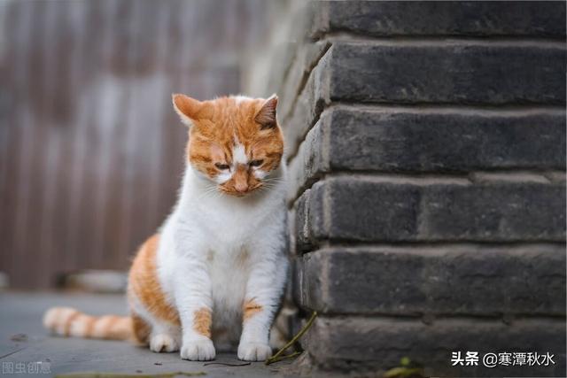 非要挨打才肯认错吗，非得我打哭你才肯认错吗（你会主动求饶还是倔强地死不认错）