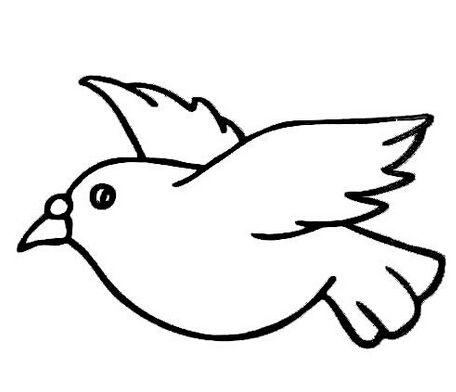 鸽子简笔画怎么画，抓住大的形体简单易学（简笔画：高清鸽子简笔画）