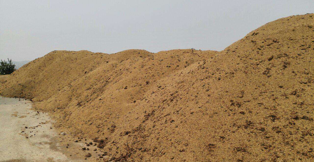 什么是金针菇菌种，菌菇是金针菇吗（从准备原料到采收）