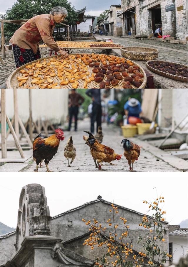 楠溪江风景区主要景点，楠溪江风景区主要景点永嘉书院（永嘉楠溪江8个必玩景点）