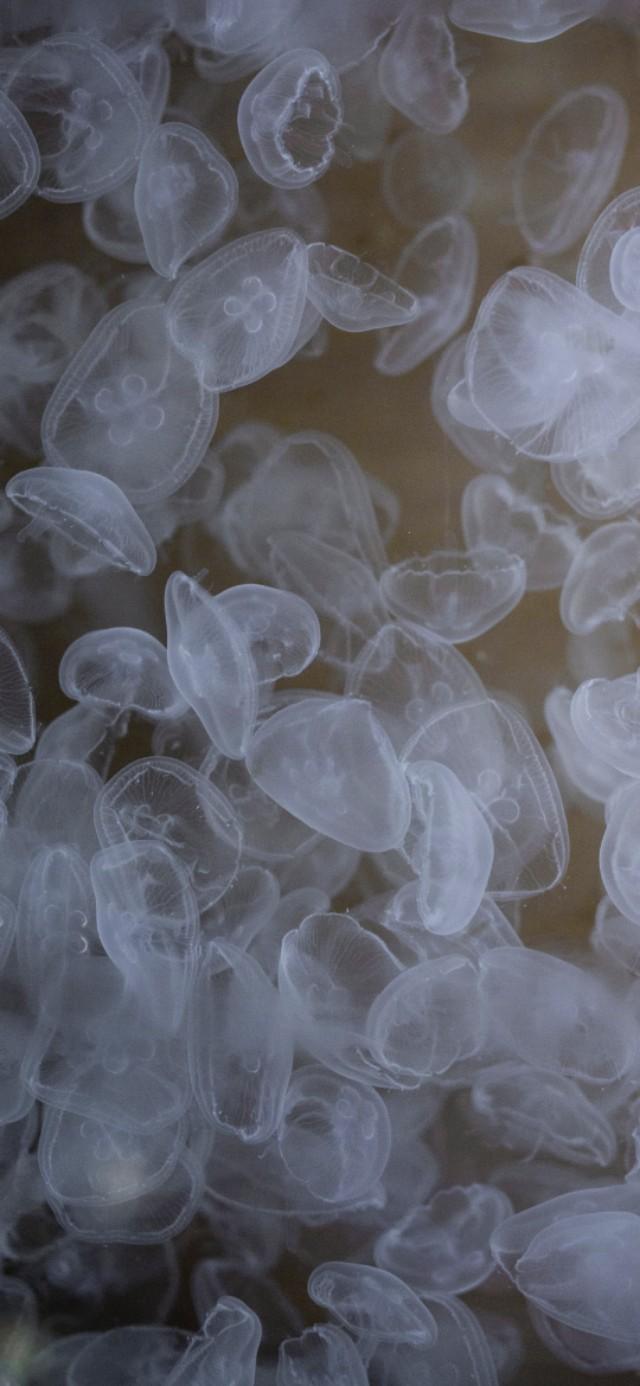 扎心背景图片。，微信扎心背景图（凌晨的故事最扎心）