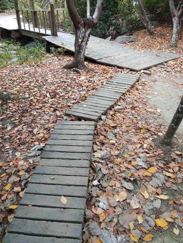 春天在什么在什么在什么上仿写，春天在什么在什么在什么上的仿写句子有哪些（跟着朱自清的美《春》写出我们精彩的《秋》）