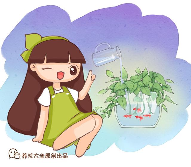 盆栽薄荷怎么养，薄荷盆栽怎么养（薄荷养护大全在这里）