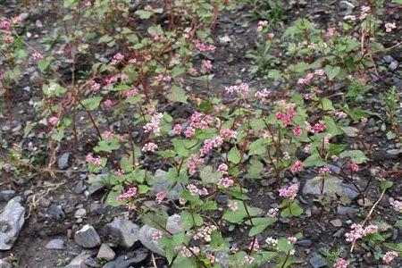 九江大专学校有哪些（九江哪些专科学校好）