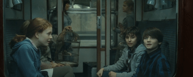 哈利波特一共有几部，哈利波特小说有几部（《哈利波特》泪点来了）