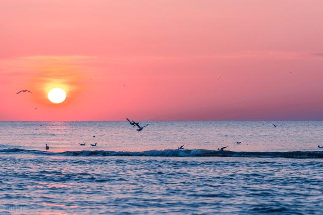 星辰大海下一句，眼中有星辰大海下一句（皆是星辰大海）