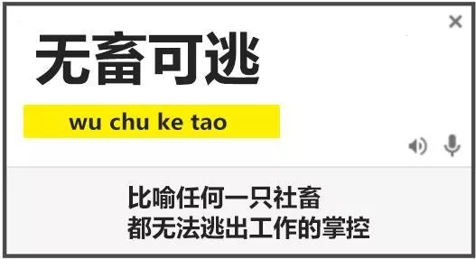 “富婆快乐球”是什么梗，“富婆快乐球”（今天已经见到王阿姨了）