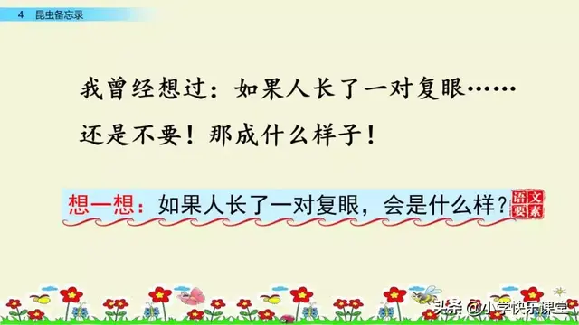 什么的硬翅，什么的硬翅？填四个字。（小学部编三年级语文下第4课《昆虫备忘录》图文+知识点+同步练习）