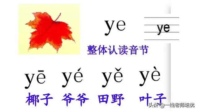 音序是什么?音节又是什么，音序是什么（小学汉语拼音——整体认读音节）