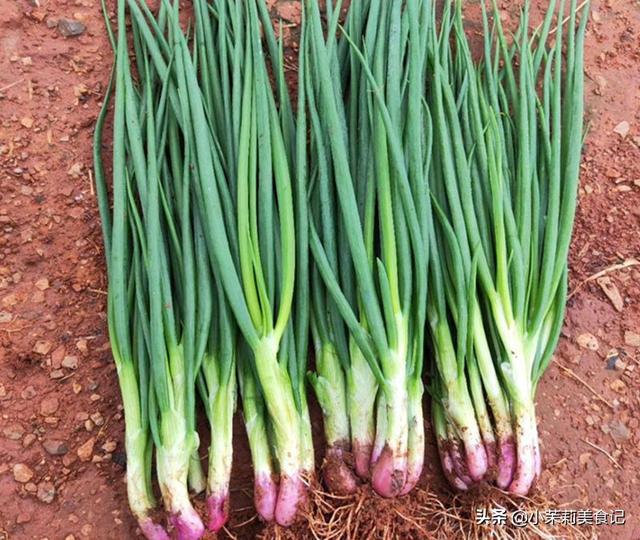 枸杞哪里产的最好，黑枸杞产自哪里（全国哪的大葱最好吃）