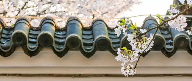 六十岁叫什么，古代男子六十岁叫什么（古人对年龄的称谓这么美）