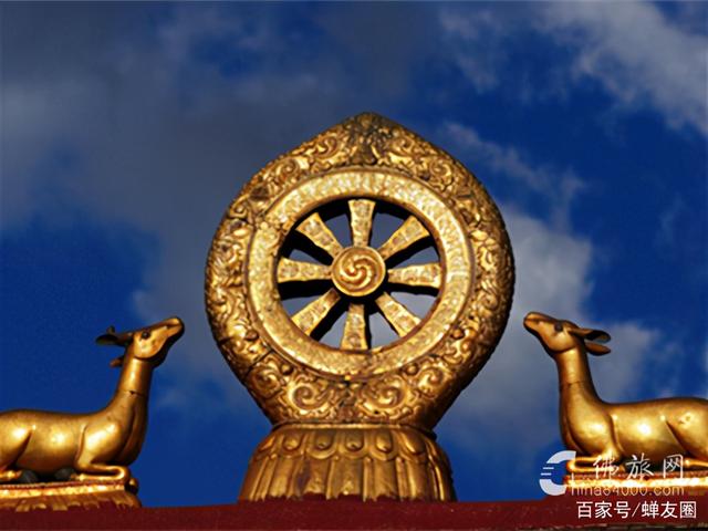 穆斯林麦加朝觐需要注意些什么，2023麦加朝觐（佛旅网资深佛旅领队分享）