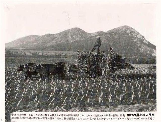 伪满洲国时期的满族，穿锦缎长袍的是八旗子弟