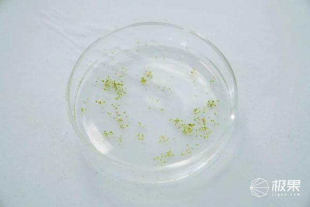 如何开启电脑防蓝光护眼呢，电脑如何关闭防蓝光护眼（我们把实验搬去了“太空”）