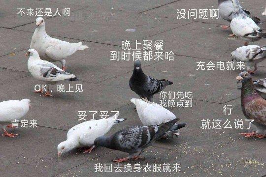 我的世界皮肤编程器怎样使用皮肤，我的世界皮肤编程器怎样使用皮肤模拟器（网易8月一口气放出20款游戏）